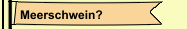 Meerschwein?