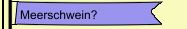Meerschwein?